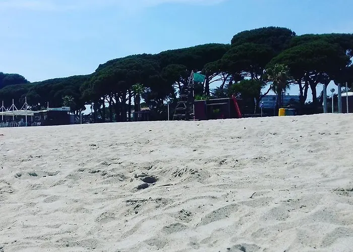 Villanoelia * Cambrils